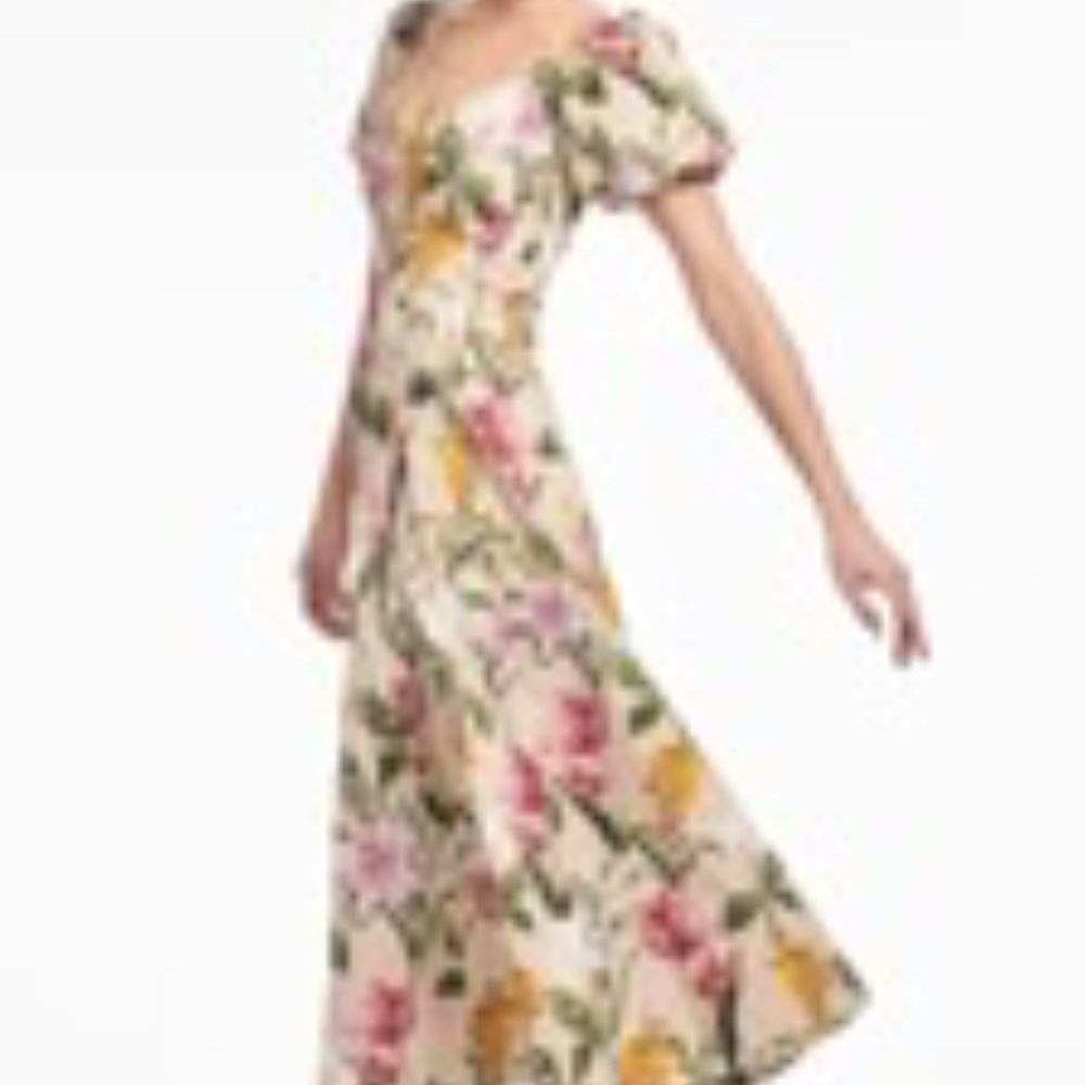 Brand new with tags Sachin and Babi Magnolia Dress size 12 - Picture 3 of 3